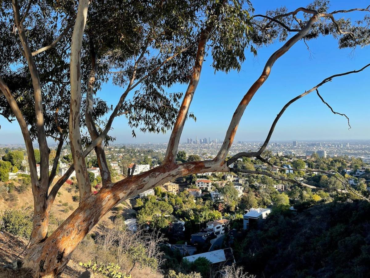 Hollywood Hills 1940S Mansion 호텔 로스앤젤레스 외부 사진